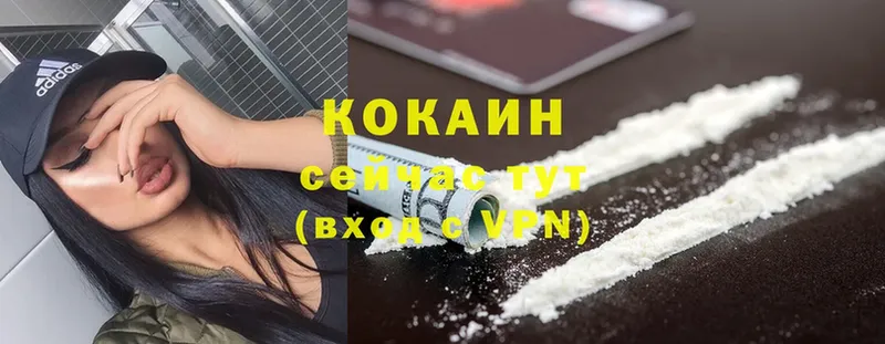 Cocaine FishScale  гидра ТОР  Туринск  хочу  